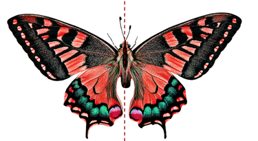 Pixaba foto by Gellinger_Pixabay License.png